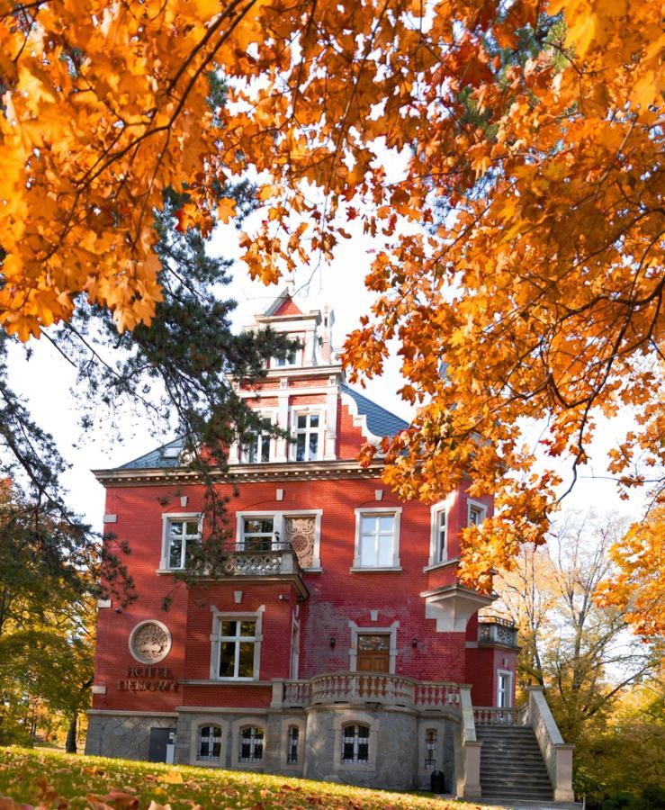 Hotel Debowy Biowellness & Spa Gory Sowie Bielawa  Esterno foto
