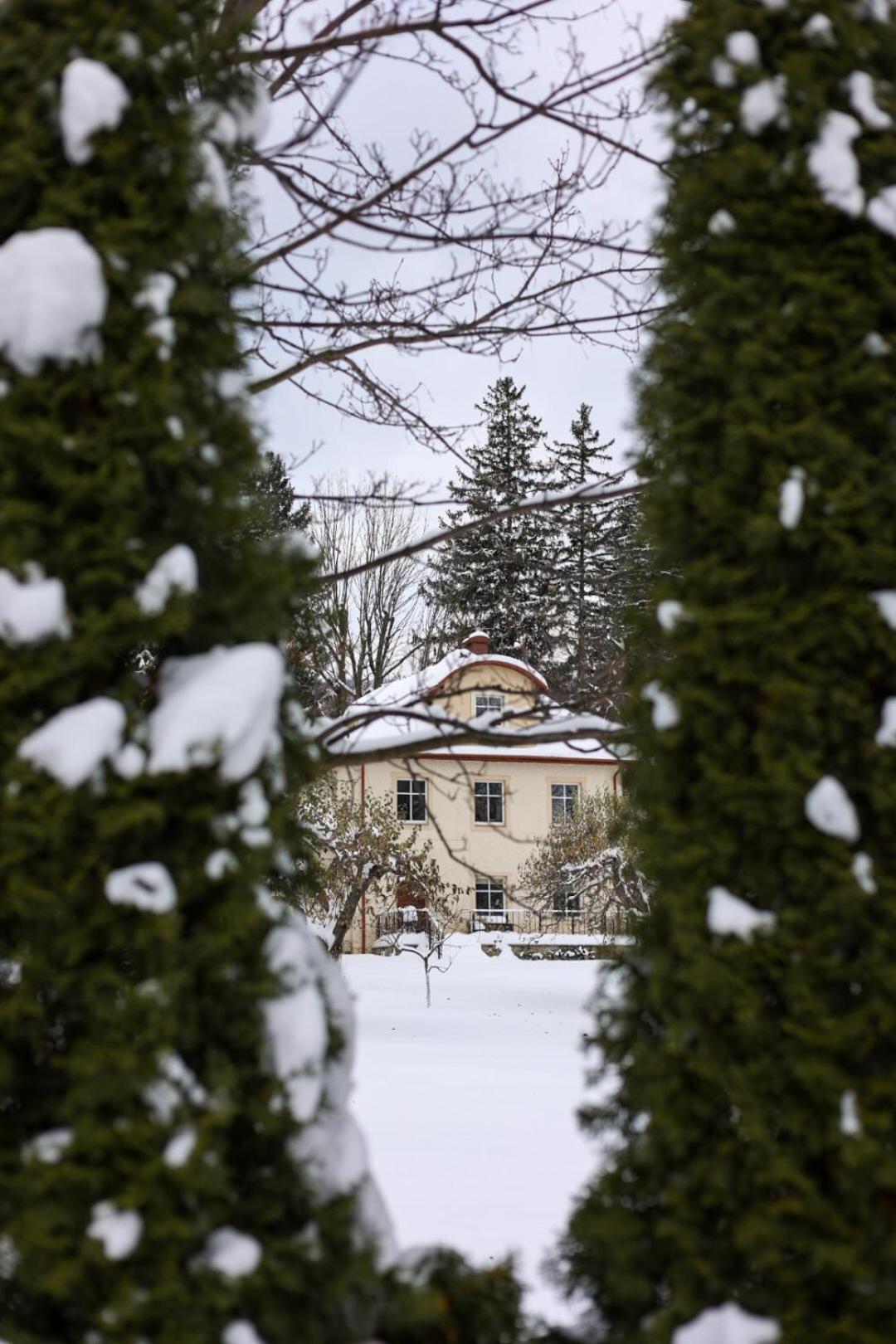 Hotel Debowy Biowellness & Spa Gory Sowie Bielawa  Esterno foto