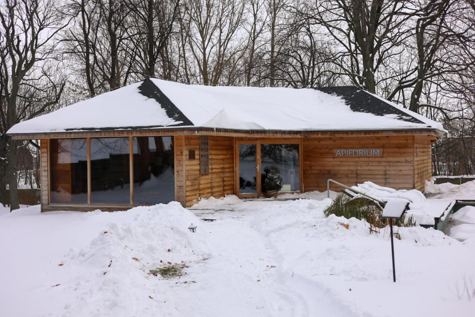 Hotel Debowy Biowellness & Spa Gory Sowie Bielawa  Esterno foto
